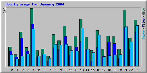 Hourly usage for January 2004